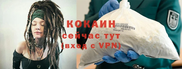 альфа пвп Новодвинск