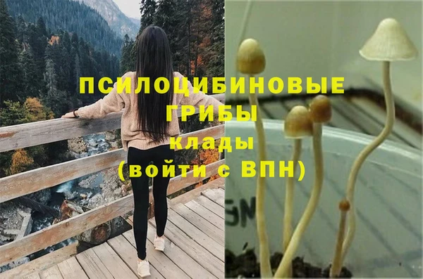 молекула духа Алексин
