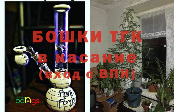 прущие грибы Алексеевка