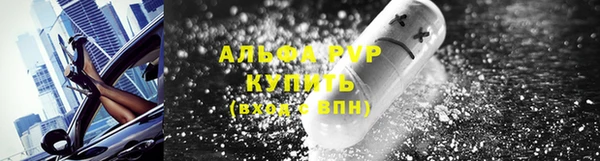 прущие грибы Алексеевка