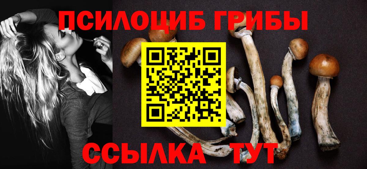 Евпатория  Галлюциногенные грибы ЛСД  Вход с VPN 